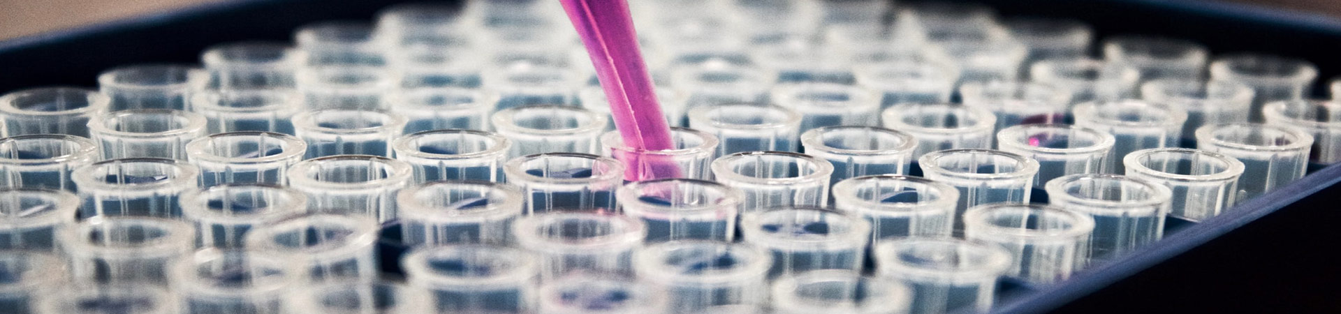 liquid penetrant testing services in Delhi NCR